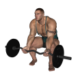 EZ Bar Curl - Squat